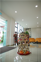 2022 Chinese New Year